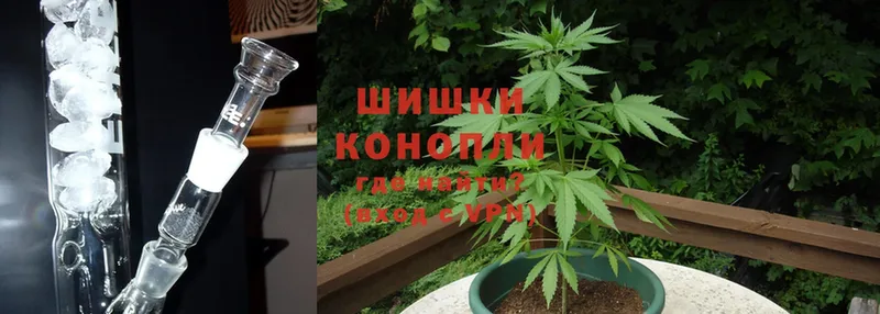 blacksprut зеркало  Когалым  Шишки марихуана THC 21% 